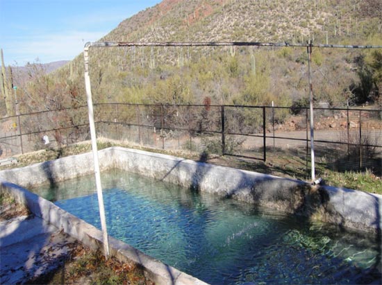 Storage Tank Morgan Pasture