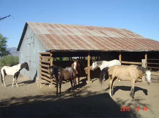 Storage Tank Morgan Pasture