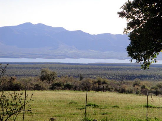 Bar Eleven Ranch