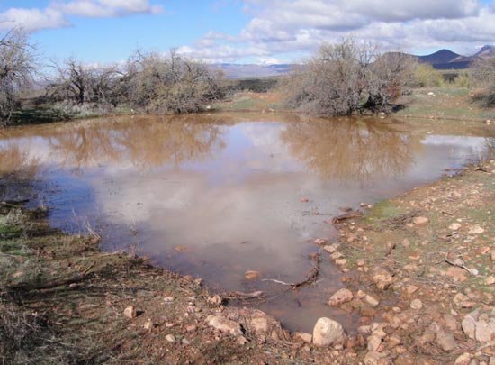 Baker Pasture