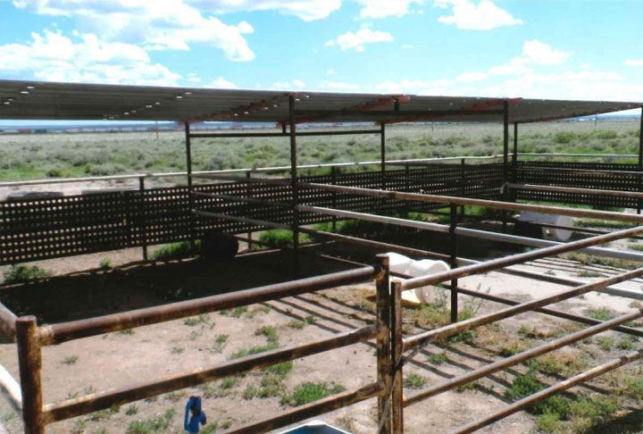 Horse Pens at HQ