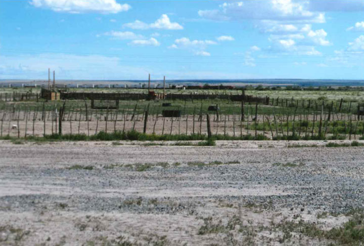 Looking south to the Corrals at HQ