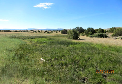 Looking Southeast from East Side of SW4 Sec 22 T9N R27E at Draw East of Shuster Spring