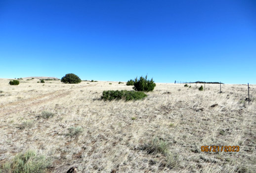 Looking North from Southeast Corner of the NE4 Sec 27 T9N R27E along East Boundary 