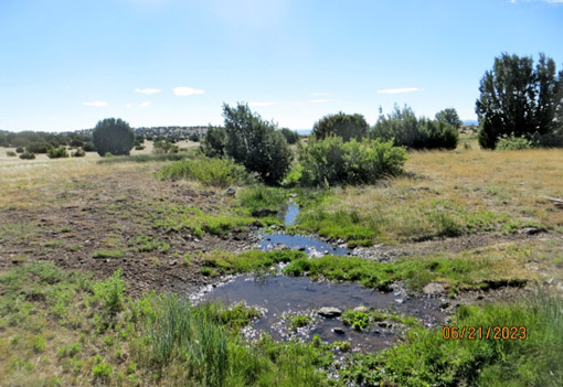 Looking Southeast from West Side of SE4 of Draw from Shuster Spring on State Land